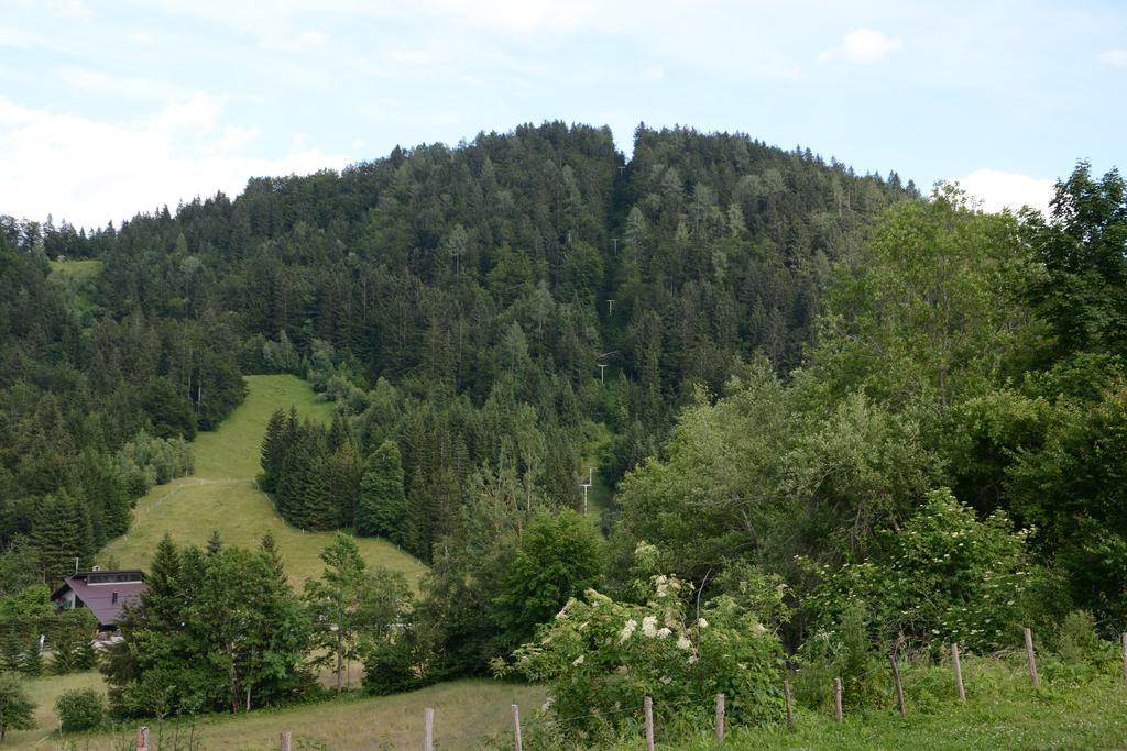 Apartment Zatrnik Bled Esterno foto
